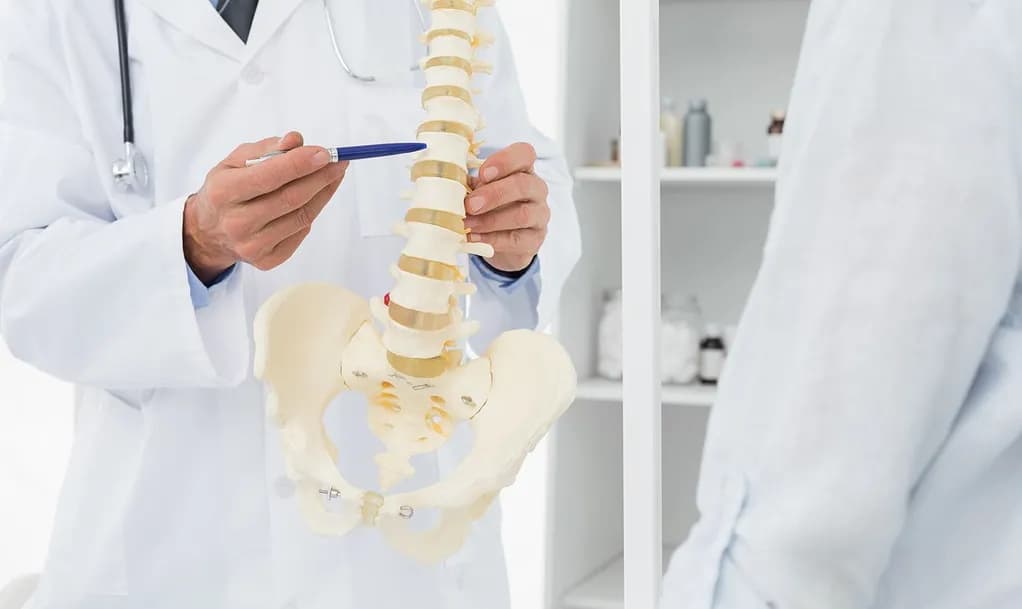 Chiropractor pointing to a model of the spine while explaining it to a patient